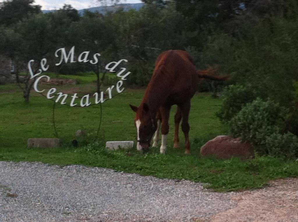 Le Mas Du Centaure Apartment Puget-sur Argens Luaran gambar